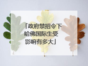 政府禁招令下 哈佛国际生受影响有多大